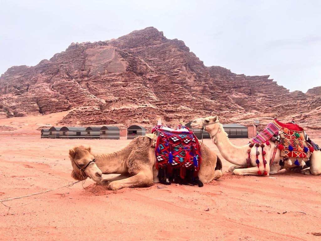 Wadi Rum Sky Tours & Camp Exterior foto
